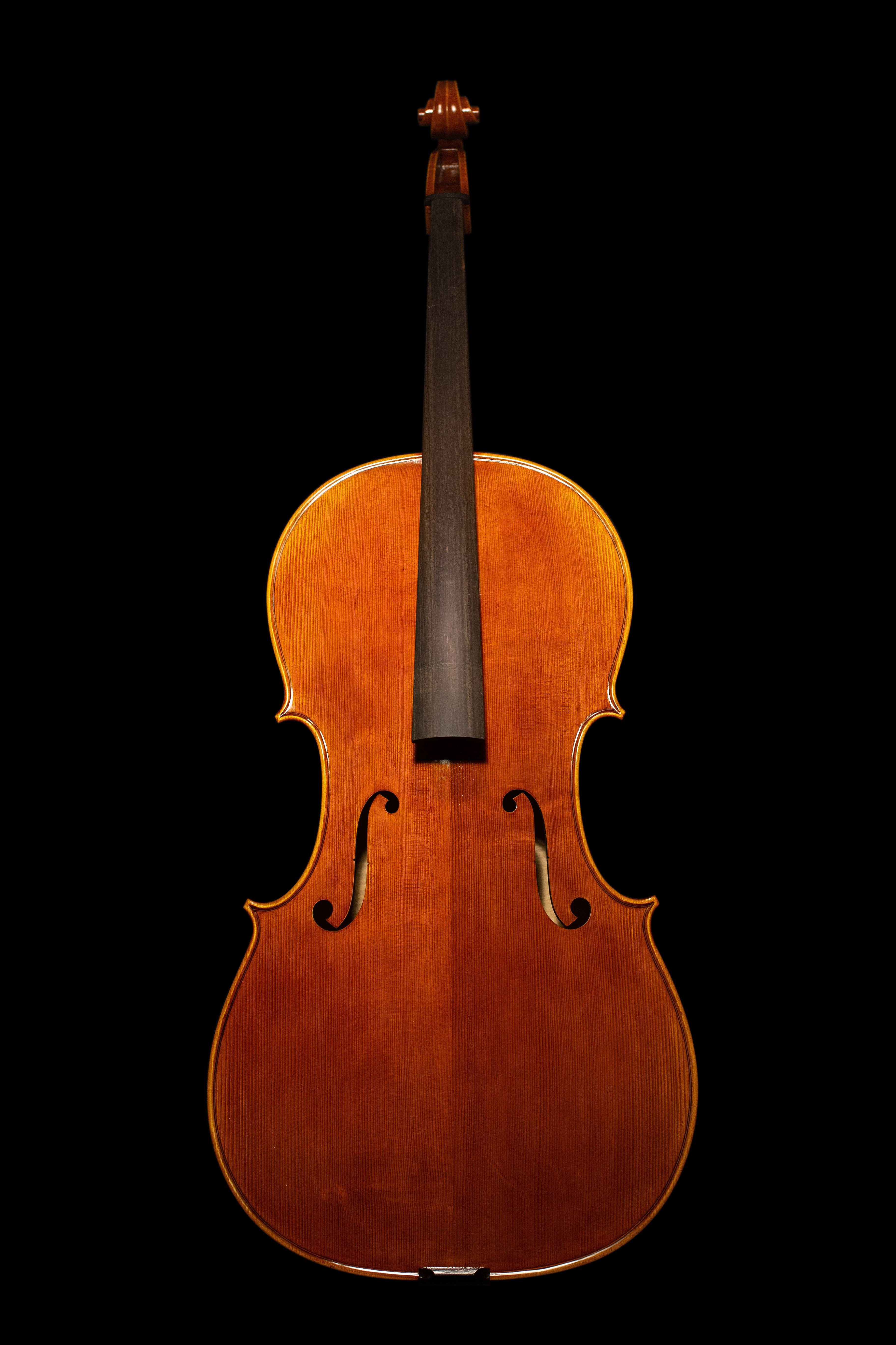 Stradivari - White violin #1