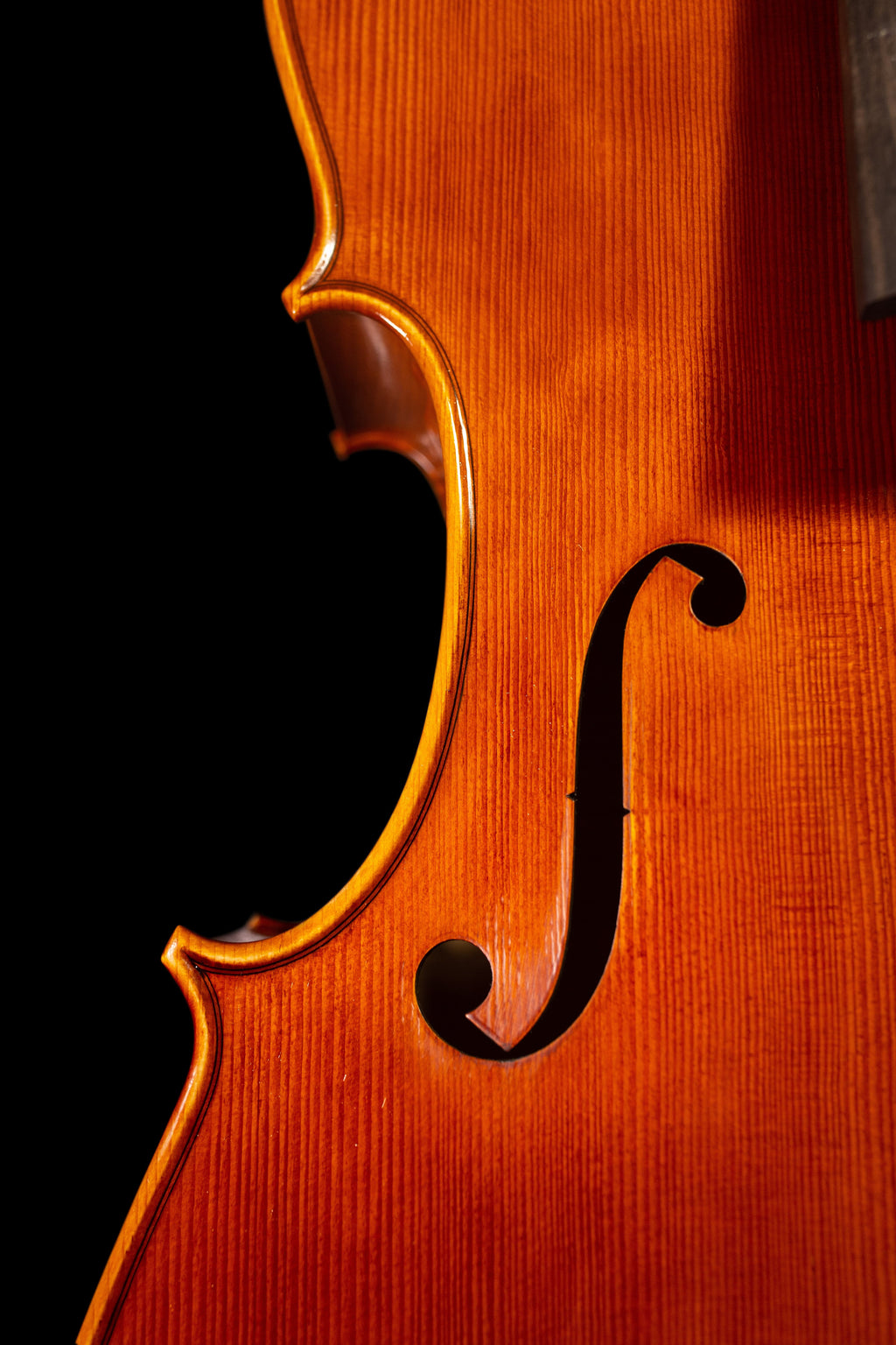 Stradivari - White violin #1