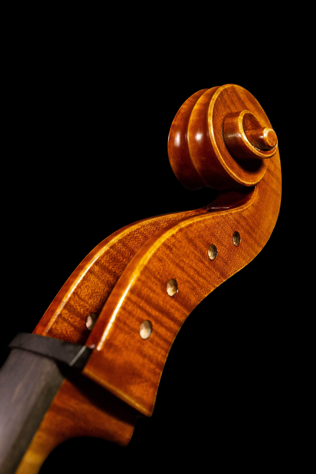 Stradivari - White violin #1