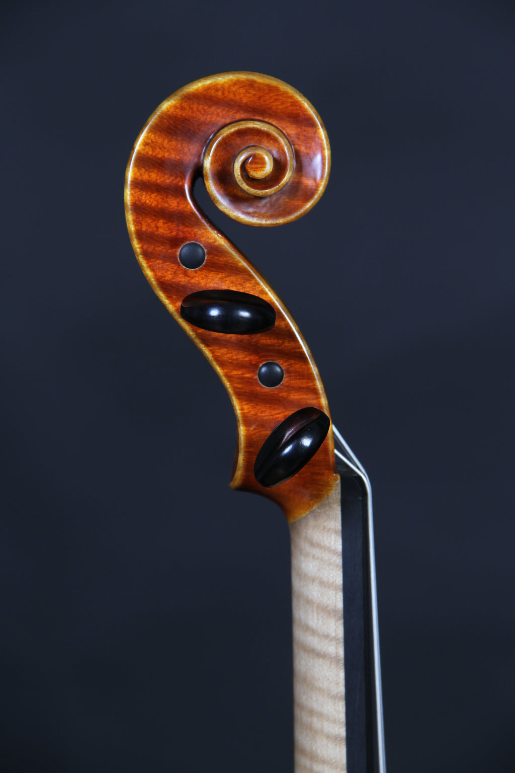 Stradivari - White violin #2