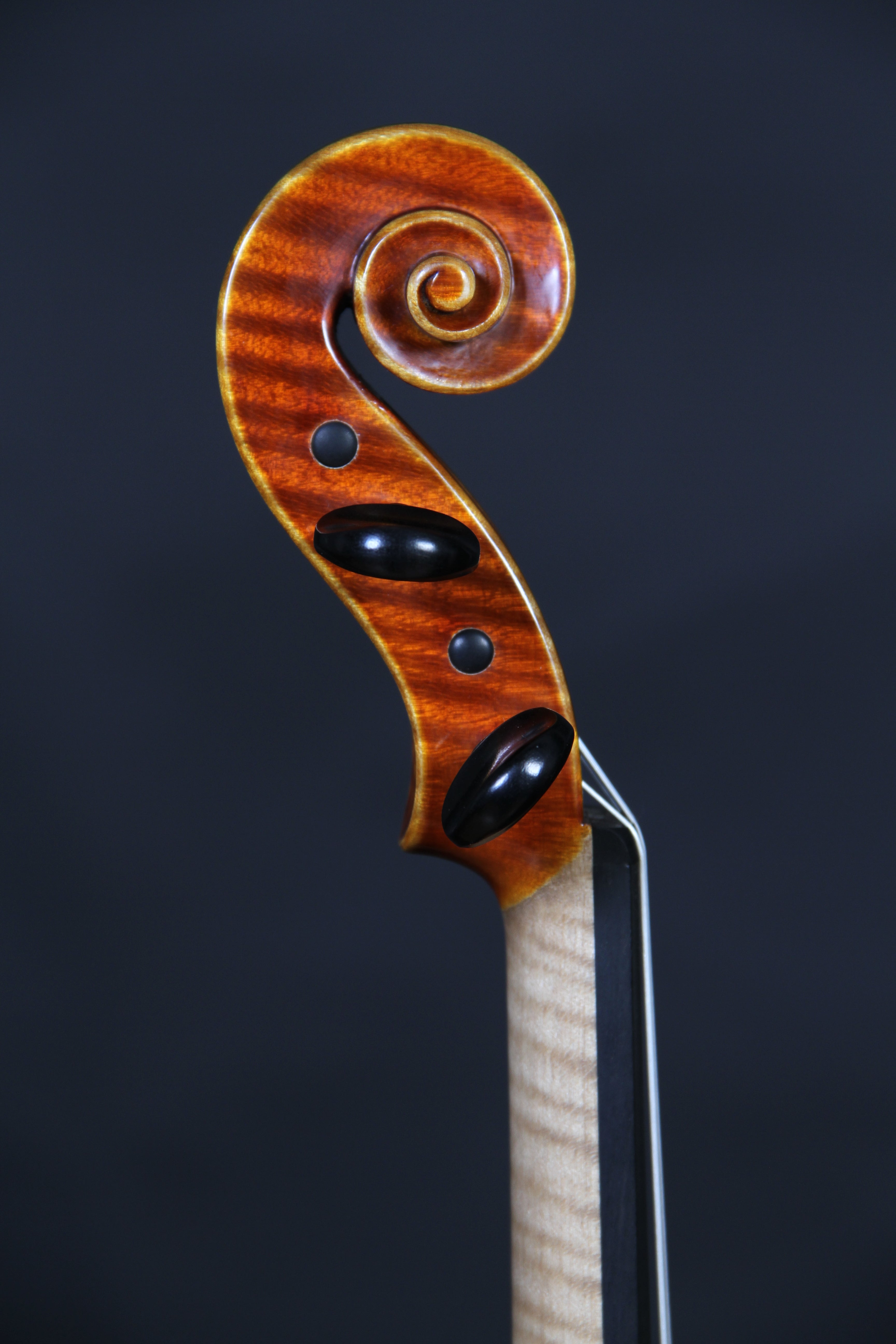 Stradivari - White violin #2