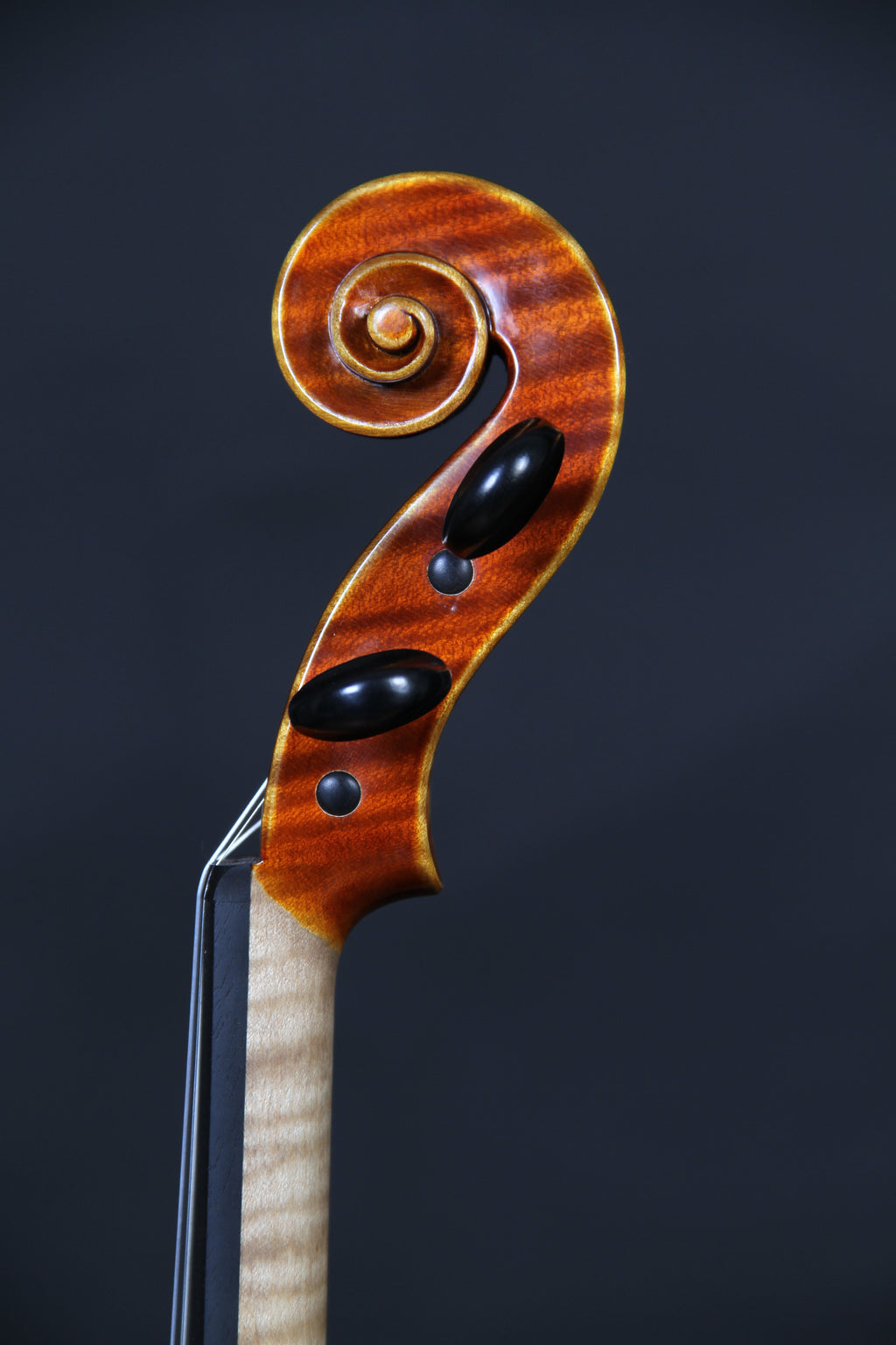 Stradivari - White violin #2