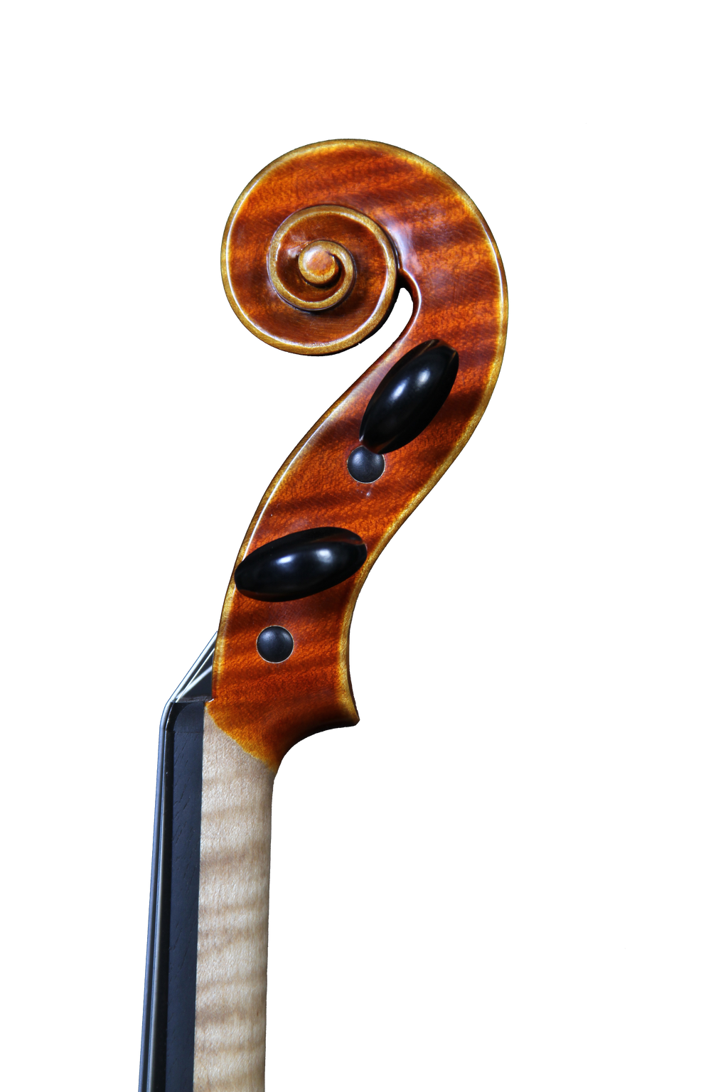 Stradivari - White violin #2