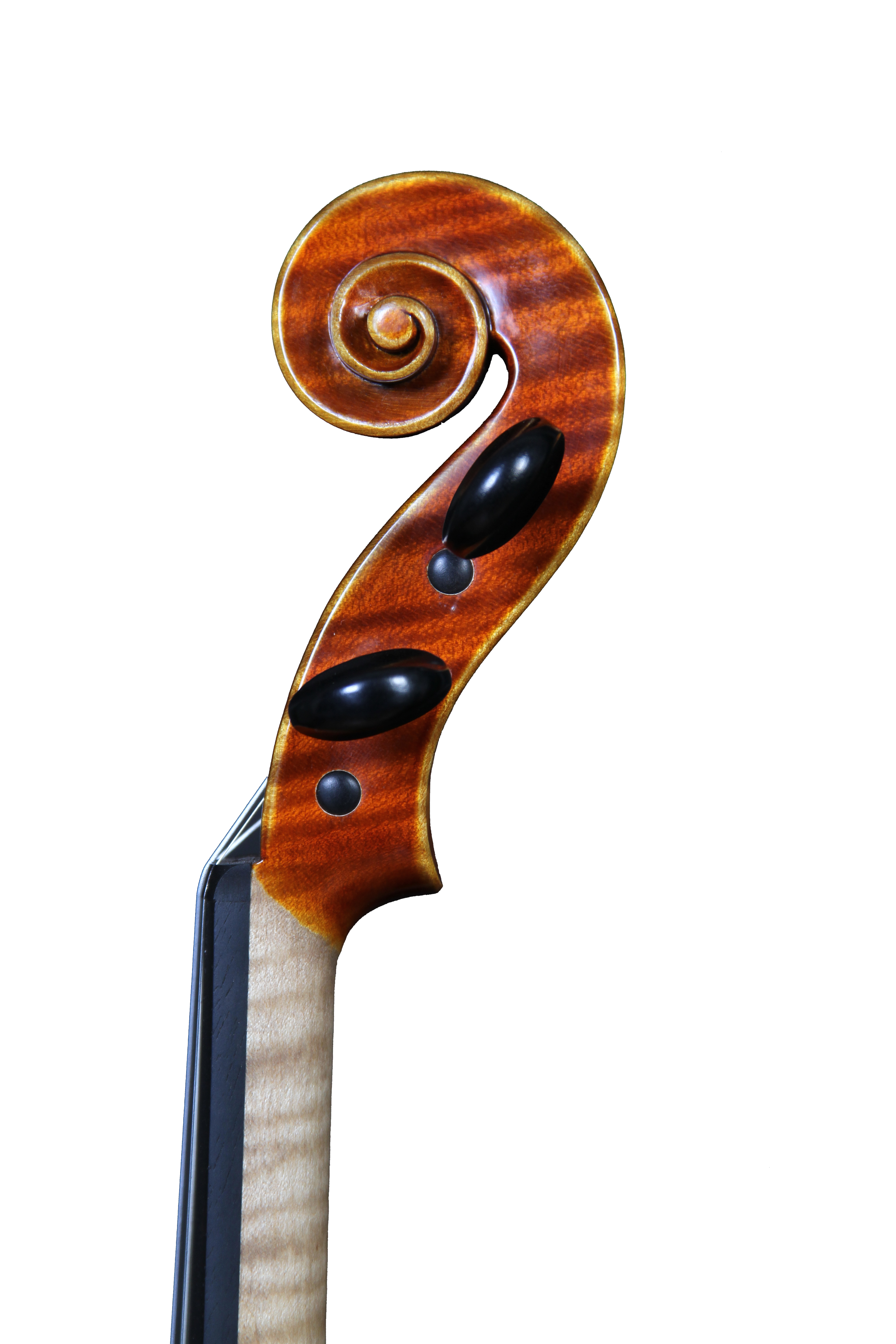 Stradivari - White violin #2